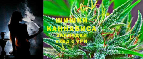 крисы Зеленодольск