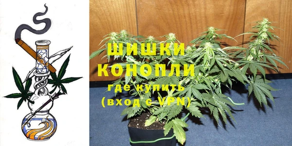 крисы Зеленодольск