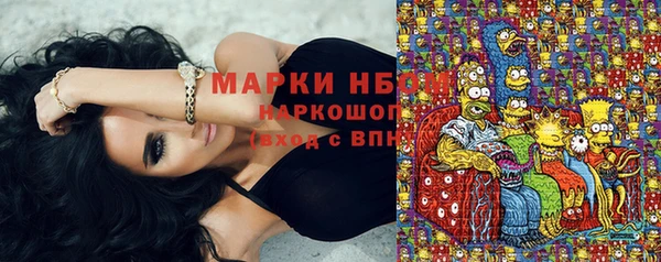 крисы Зеленодольск