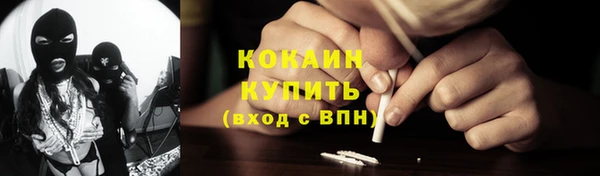 крисы Зеленодольск