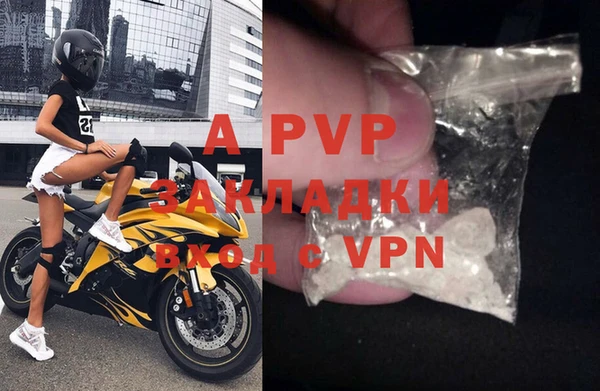 стафф Зеленокумск
