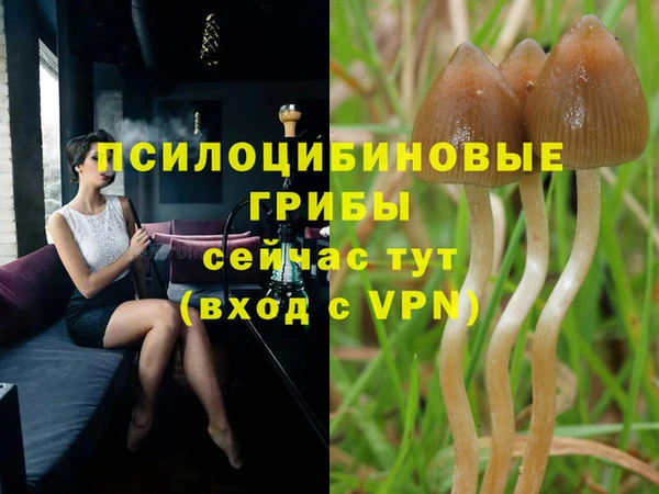 гашик Елабуга