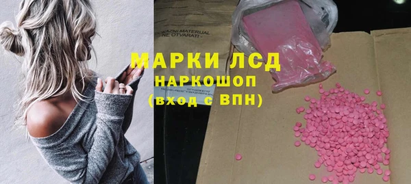 стафф Зеленокумск