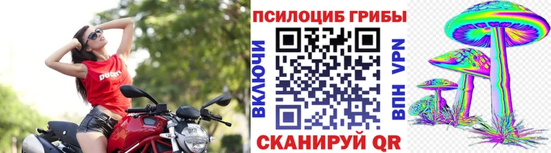 Псилоцибиновые грибы прущие грибы  Купить закладки  Козловка 